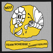 Schmetterling