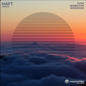 Flow / Momentum / Rosewood