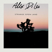 Alex Di Leo: Strange Open Land