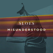 Misunderstood