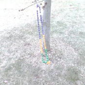 Beerds, Beads, Beasts