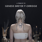 A Tribute To Genesis Breyer P-Orridge II