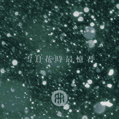 雪月花時最憶君
