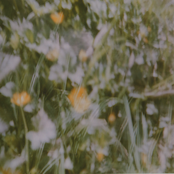 Pequeñas Composiciones