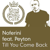 Till You Come Back