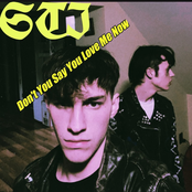 Don't You Say You Love Me Now