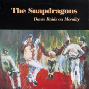 Dawn Raids On Morality