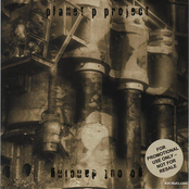 Tears by Planet P Project