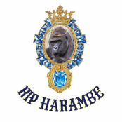 RIP Harambe