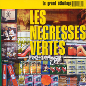 Les Negresses Vertes - Zobi La Mouche