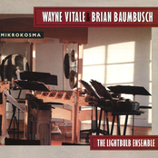 Wayne Vitale & Brian Baumbusch: Mikrokosma