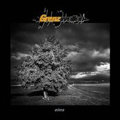 Metallic Bug Invasion