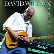 The Groove by David Wilcox