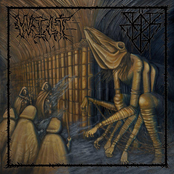 Wilt / Bädr Vogu Split