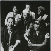 Roots Syndicate