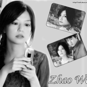 赵薇(zhao wei)