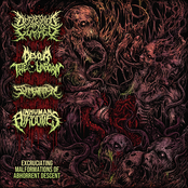 Baptized in Bile (Redux)