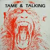 Tame & Talking