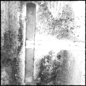 Loops Of Love + Healing