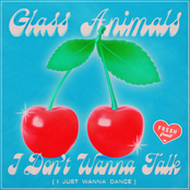 I Don't Wanna Talk (I Just Wanna Dance) - Single