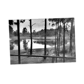 Hummingbird Hideaway