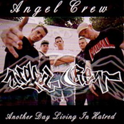 Steal Your Crown by Angel Crew