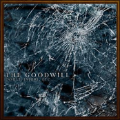 the goodwill