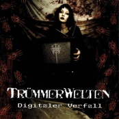 Soviel Schmerz by Trümmerwelten