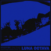 STAFFcirc vol. 7b - Luna Octava