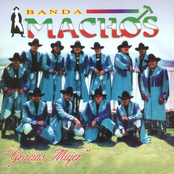 Besando Borrachos by Banda Machos