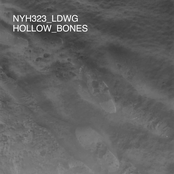Hollow Bones