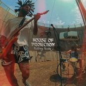 House of Protection: Pulling Teeth