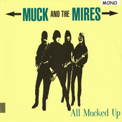 Love Is Knocking At Your Door by Muck And The Mires