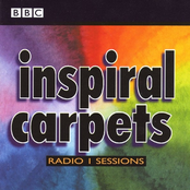 Paranoid by Inspiral Carpets