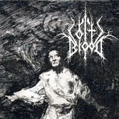 Beyond The Lake Of Madness