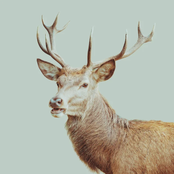 Saturn Turns - Single