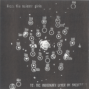 To: The Imaginary Layer on Skeletons