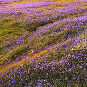 Bigger Than What We Got (Ayowitty Remix)