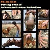 Brian Haas: Petting Sounds