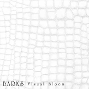 BARKS Visual Bloom