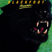 Blackfoot: Tomcattin'