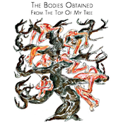 From The Top Of My Tree