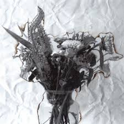 Bang Alleen Te Blijven