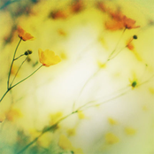 Hibernate Sampler, Volume 6