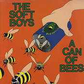 Leppo And The Jooves by The Soft Boys