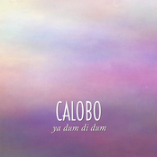 34 Roses by Calobo