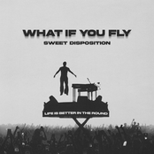 What If You Fly (Sweet Disposition) - Single