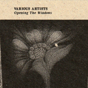 Opening The Windows