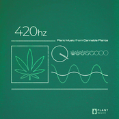 420hz: Plant Music from Cannabis Plants