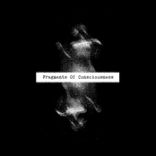 Fragments of Consciousness